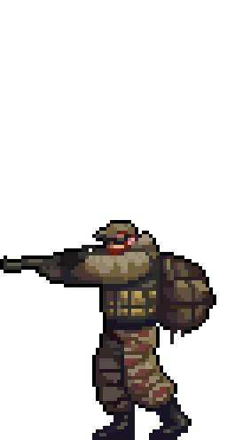 Duck Shoot hunter